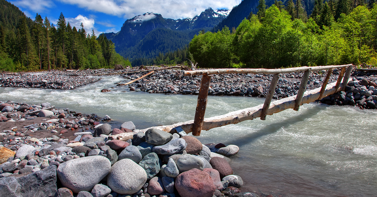 Carbon River Corridor Cooperative Action Plan